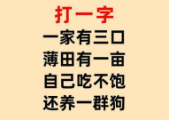 一家十口打一汉字,探寻汉字的趣味与智慧