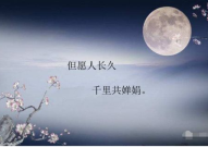 描写中秋的诗句有哪些?,诗意盎然