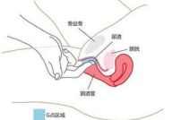私密G点图片,揭秘女性愉悦的秘密花园