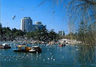 昆明旅游景点,探寻春城美景，感受多彩风情