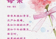 赞颂母爱的唯美句子,温柔岁月里的永恒旋律