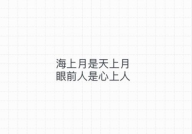 适合任何情绪的句子,跨越情感波动的智慧箴言