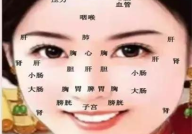 私密看手面诊,私密看手面诊，探寻健康密码